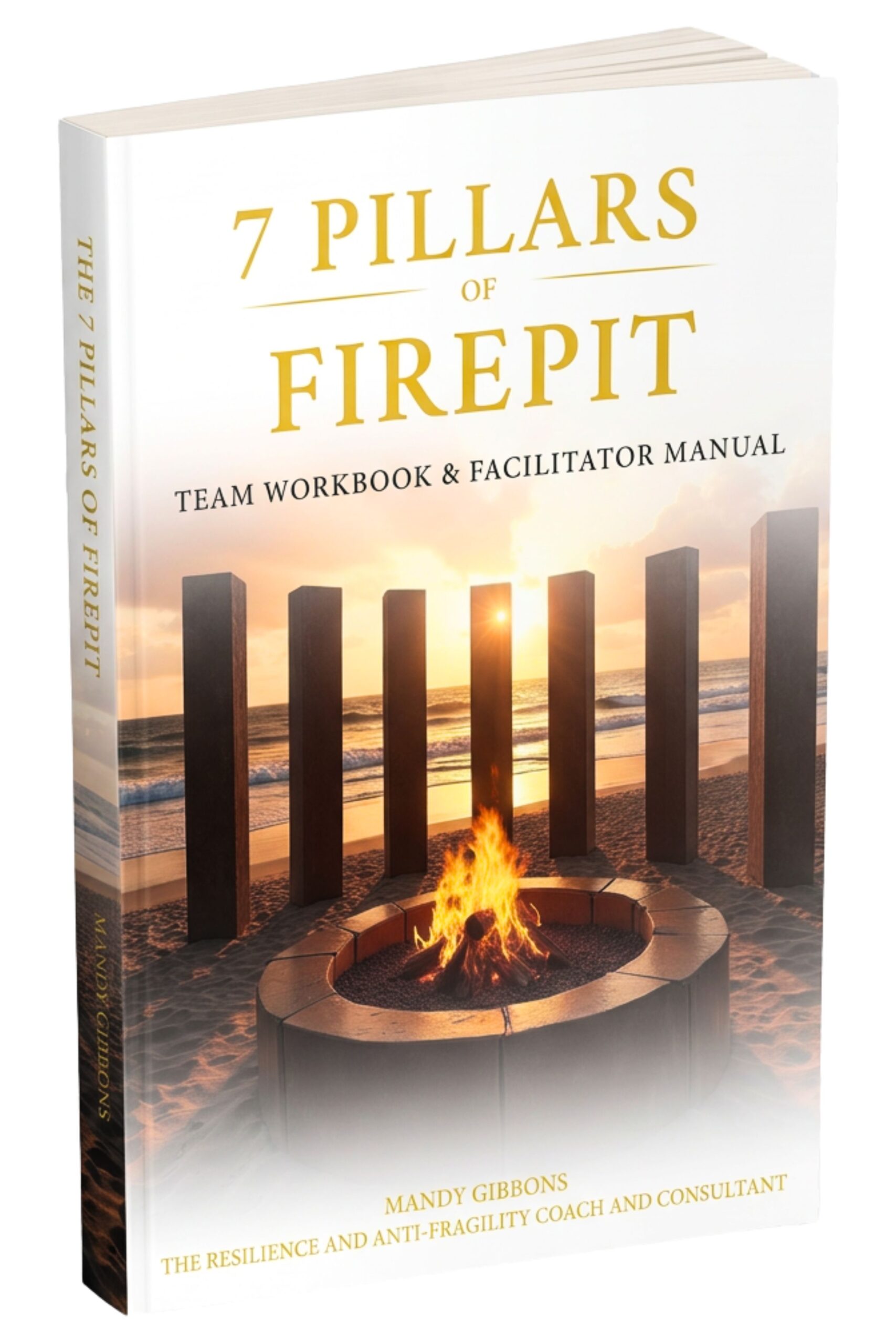 The 7 Pillars of FIREPIT - Team Workbook And Facilitator Manual - by Mandy Gibbons (1)